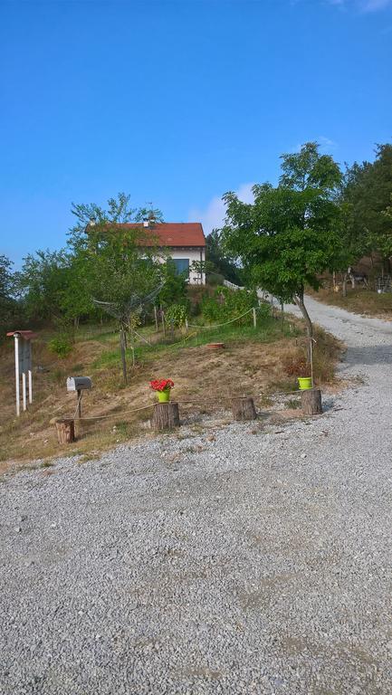 Micro-Cottage In Pietra La Ratatouille Dego 外观 照片