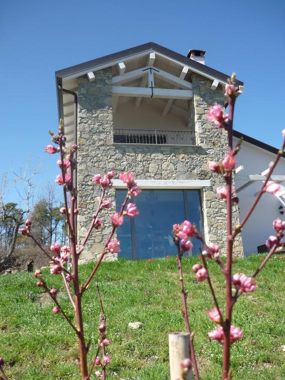 Micro-Cottage In Pietra La Ratatouille Dego 外观 照片